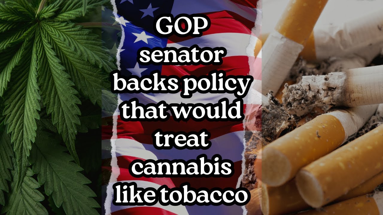 GOP Senator Backs Policy That ‘Treats Marijuana Just Like Tobacco,’ Calling On Feds