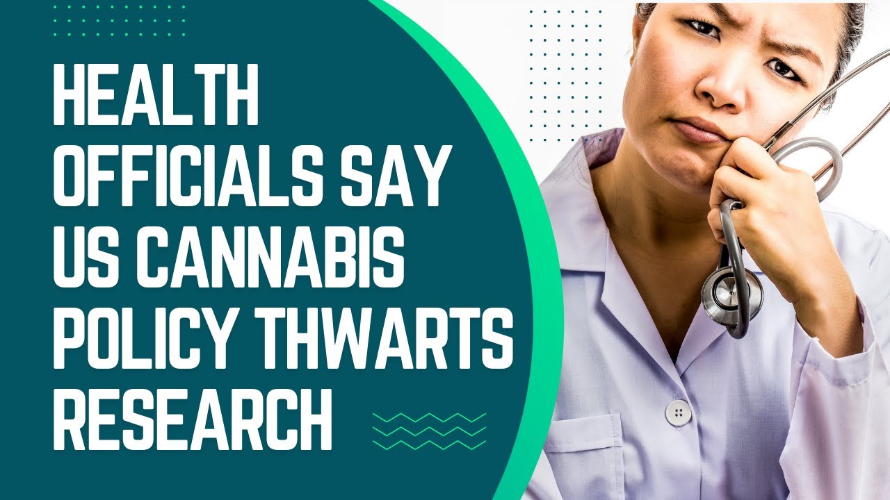 US Cannabis Policy Thwarts Research, HHS Officials Say