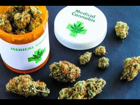 🌿 Medically Lit: The Truth About Medical Marijuana and Its Benefits and Controversies! 🌿