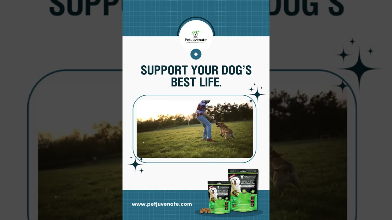 PetJuvenate® Hip Joint, Mobility, Support and More! – www petjuvenate com #doglife #petwellness