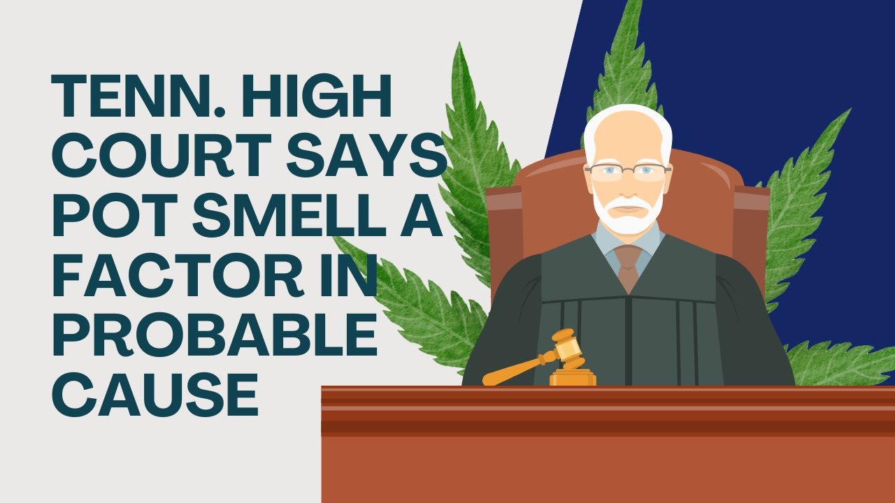 Shocking ruling: Pot smell affects probable cause