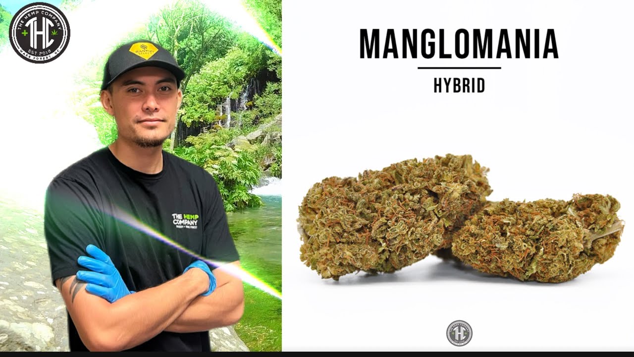 (Ep.3) CBD Manglomania Strain Breakdown: Indugle in Serenity