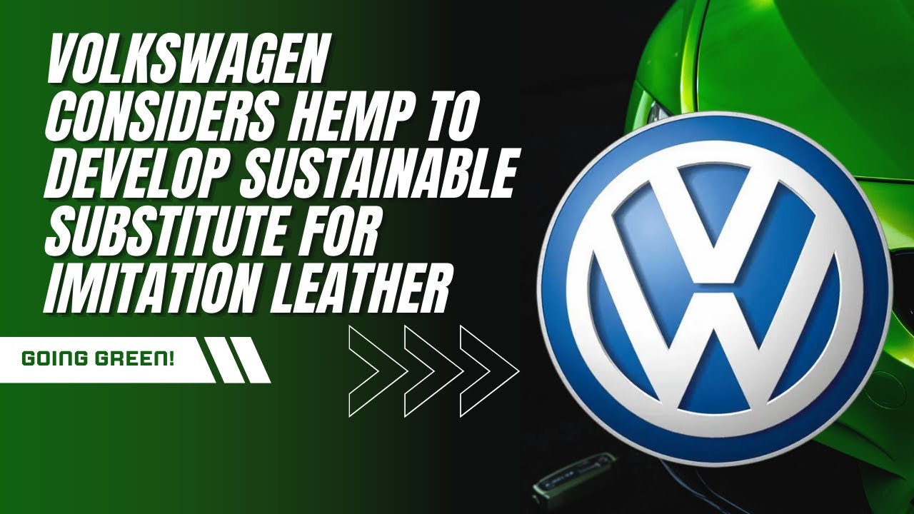 Sustainable Innovation: Volkswagen's Hemp Leather Solution