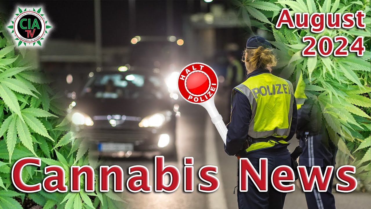 Canna News August 2024 – Deutschland, Österreich, THC Studie, Marokko, England