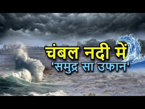 #tnnews24 🚨 #चारों तरफ जल प्रलय 🚨 चंबल नदी का रद्र रूप