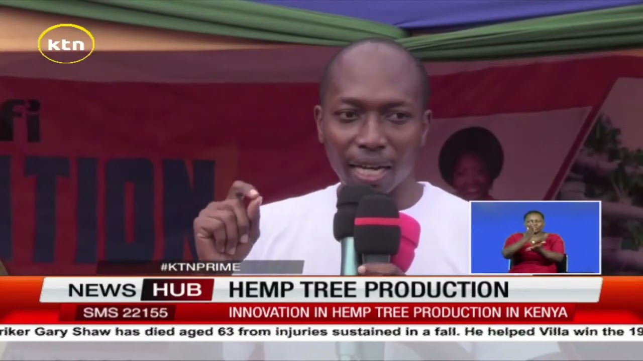 The government has been urged to venture in Hemp tree production