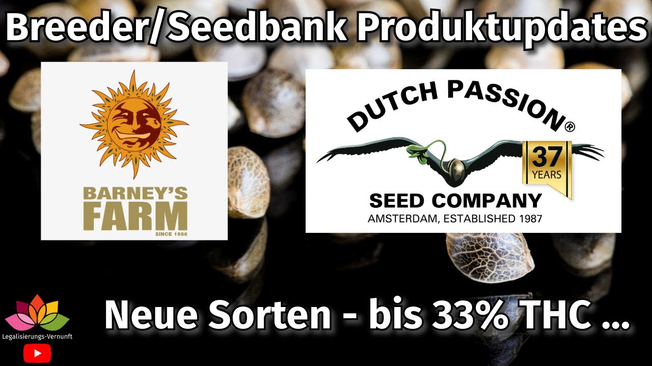 Breeder/Seedbank Updates – Dutch Passion & Barney's Farm Infos/News zu Sorten & Sortiment