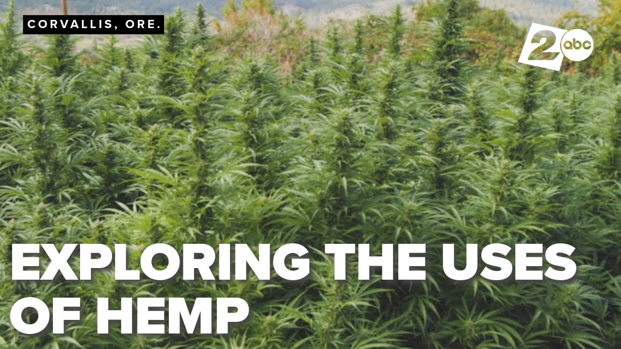 Millions going to Oregon State University to explore the uses of the hemp plant