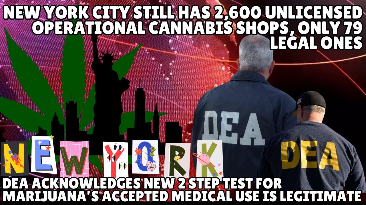 NYC Struggles with Only 79 Legal Cannabis Shops, Thailand Unveils New Cannabis Regulation Bill