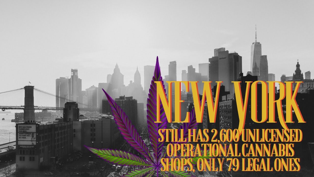 New York City still has 2,600 unlicensed operational cannabis shops, only 79 legal ones