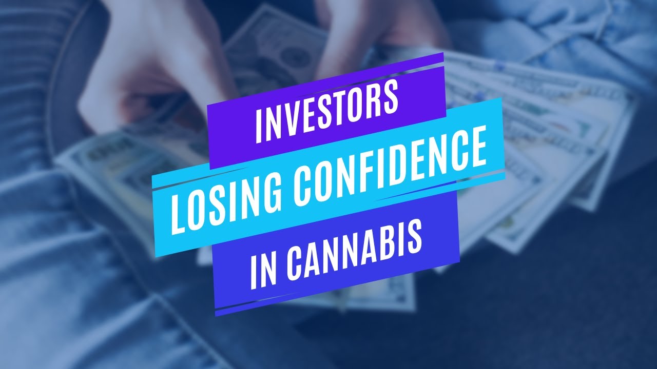 Investors losing confidence in cannabis for variety of reasons