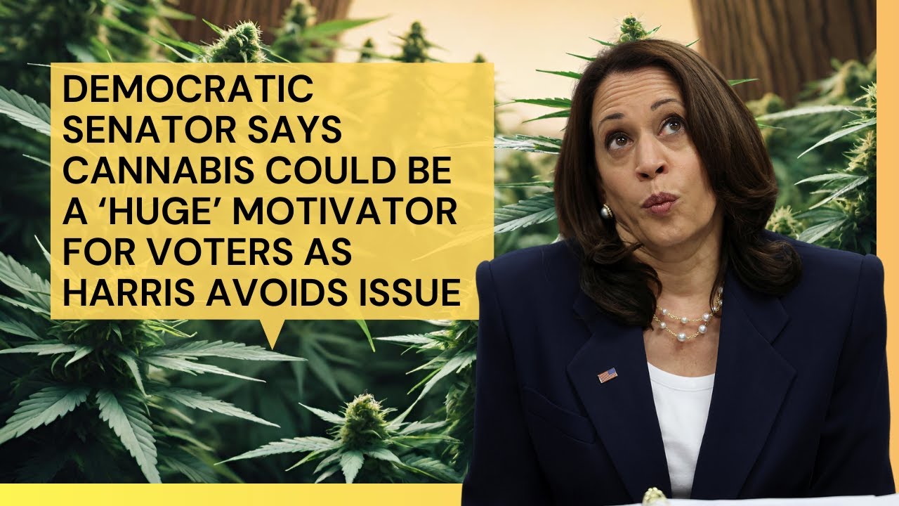 Marijuana Reform is the Secret to Winning Over Swing Voters!