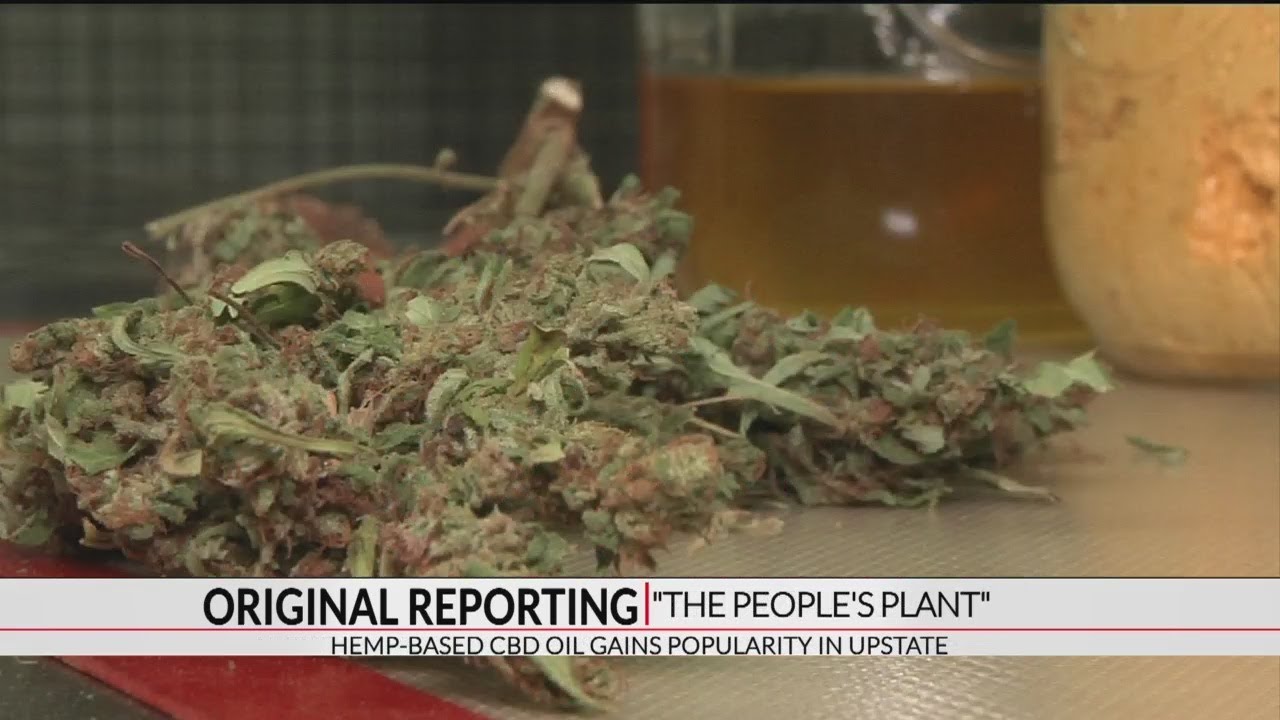 The People's Plant: Hemp-based CBD oil gains popularity in the Upstate