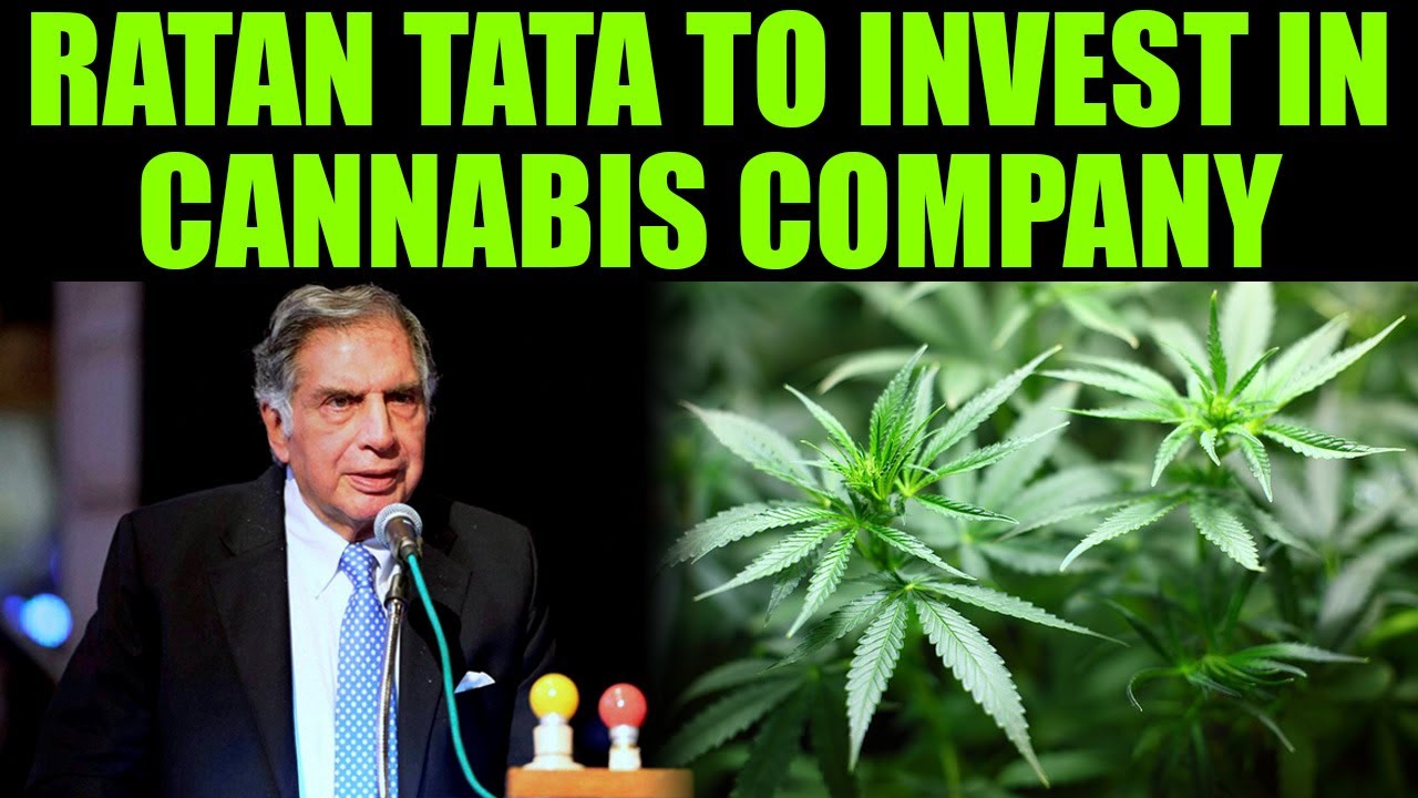 Ratan Tata and Google India's MD to invest in cannabis based company | Oneindia News