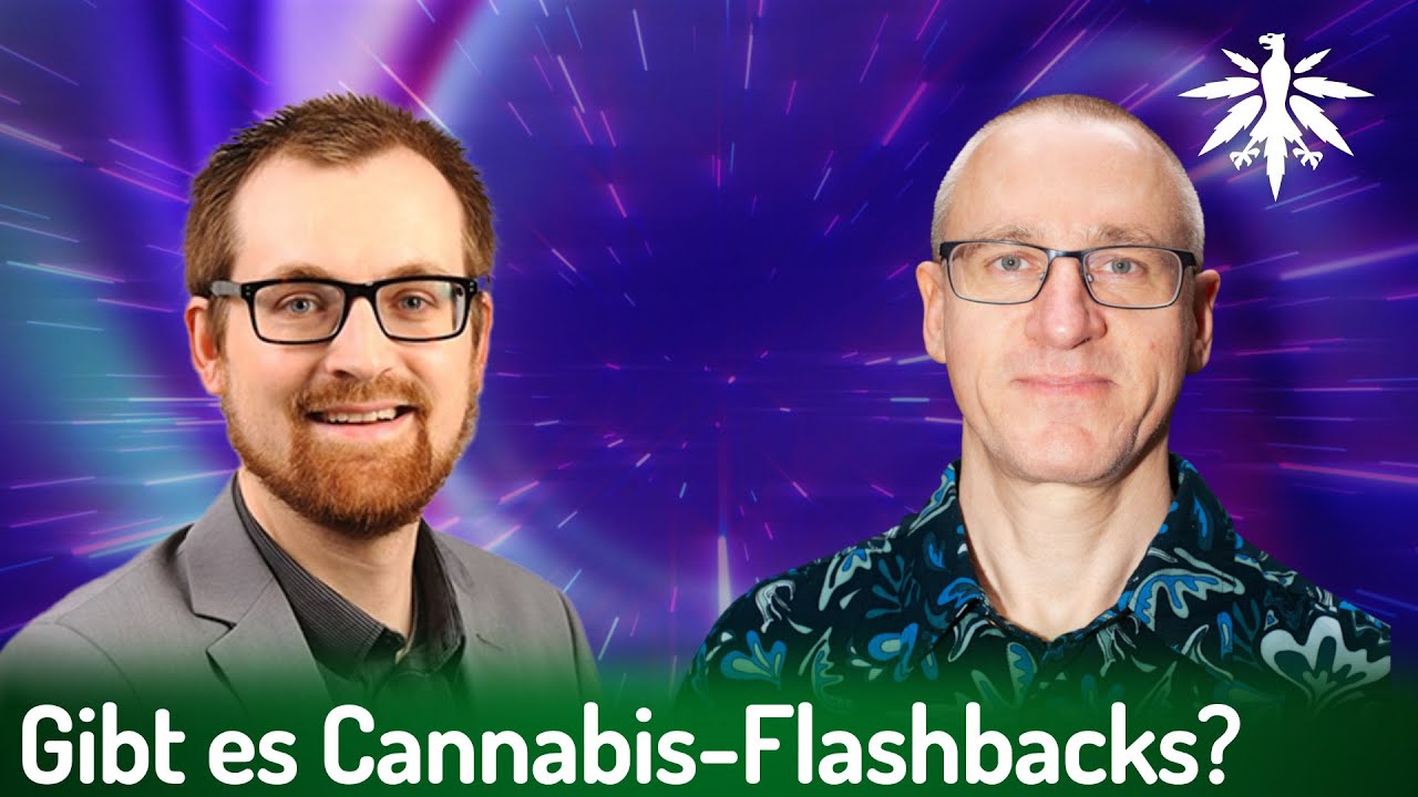 Gibt es Cannabis-Flashbacks? | Interview mit Toxikologe Dr. Steinmetz