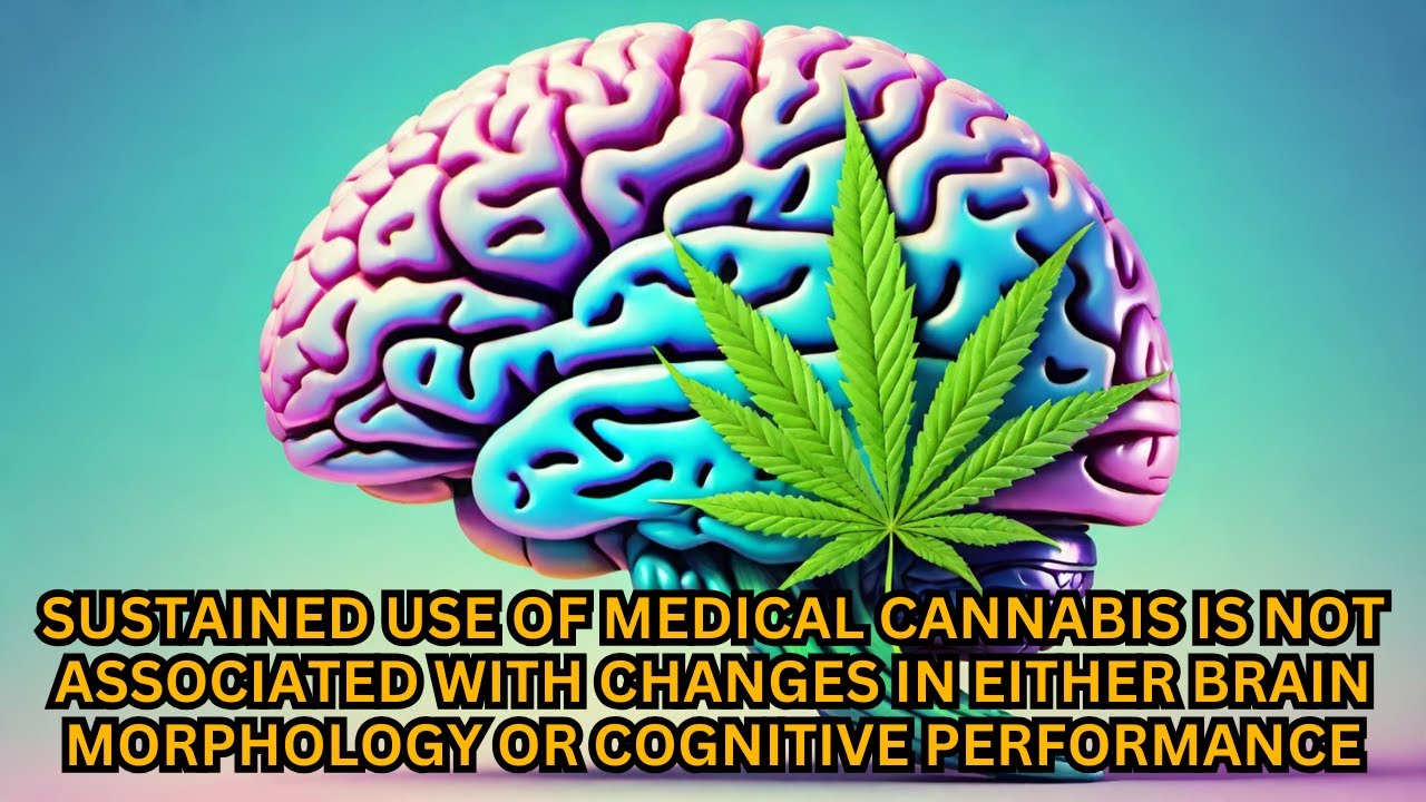 Top Cannabis Researcher Reveals Surprising Truth About Brain Morphology