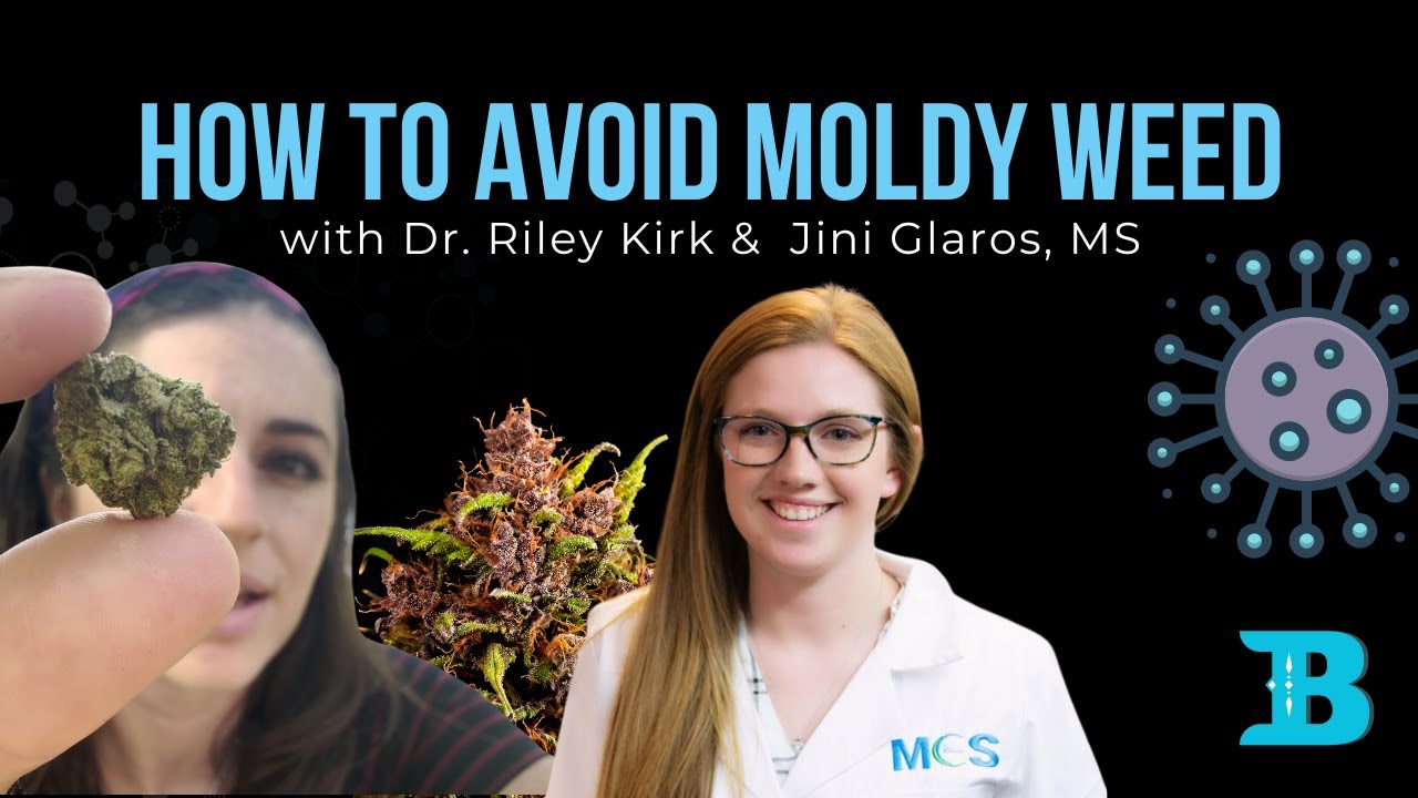 HOW TO AVOID MOLDY WEED: Understanding water activity and moisture content