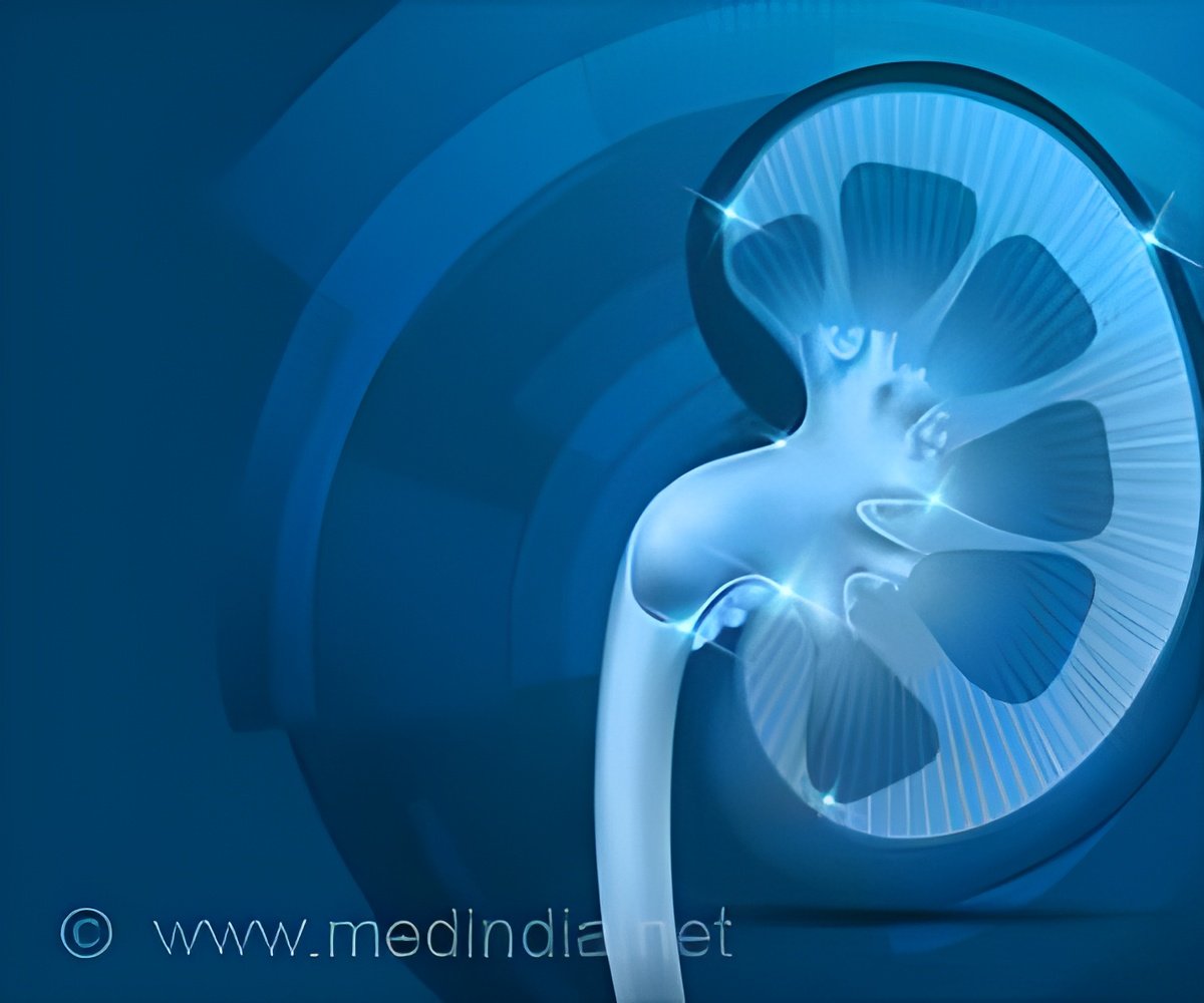 Advances in Kidney Imaging and Nanomedicine