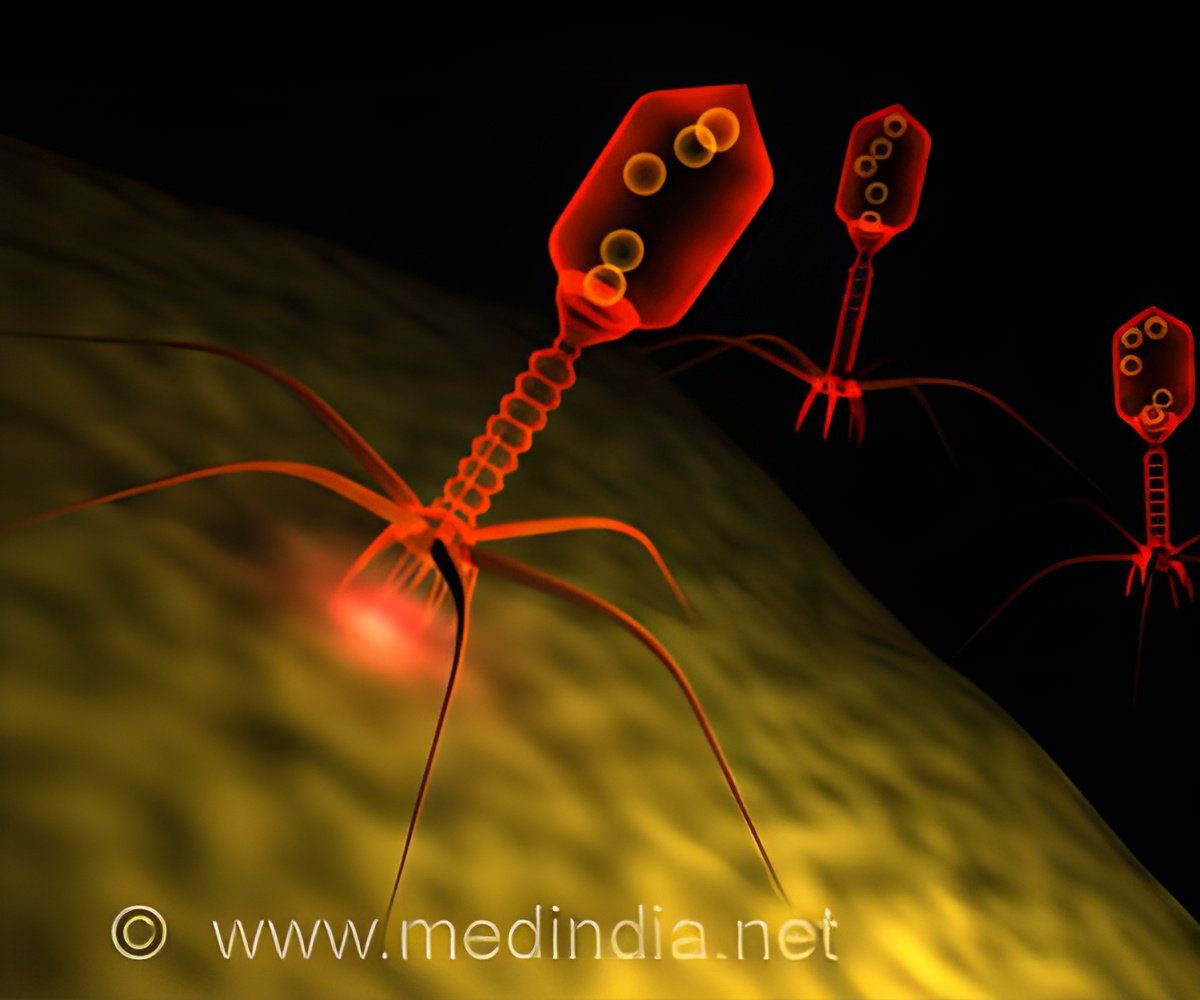 The Future of Phage Therapy for Resistant Bacterial Infections