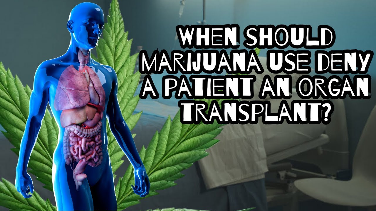 When Should Marijuana Use Deny a Patient an Organ Transplant?