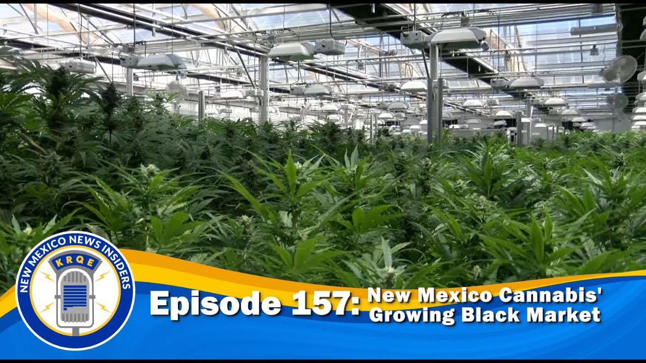 The Growing Black Market Inside New Mexico’s Cannabis Industry