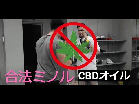 CBDオイルはトレーニングのパフォーマンスを上げる