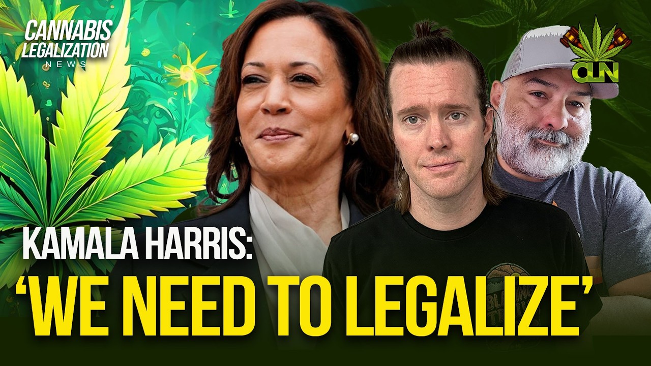 Kamala Harris marijuana legalization Pushes for Federal #CannabisLegalization 🌿  Cannabis News