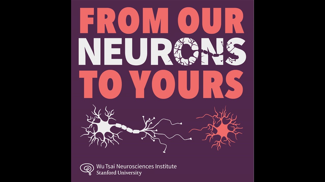 The cannabinoids within: how marijuana hijacks an ancient signaling system in the brain | Ivan So…