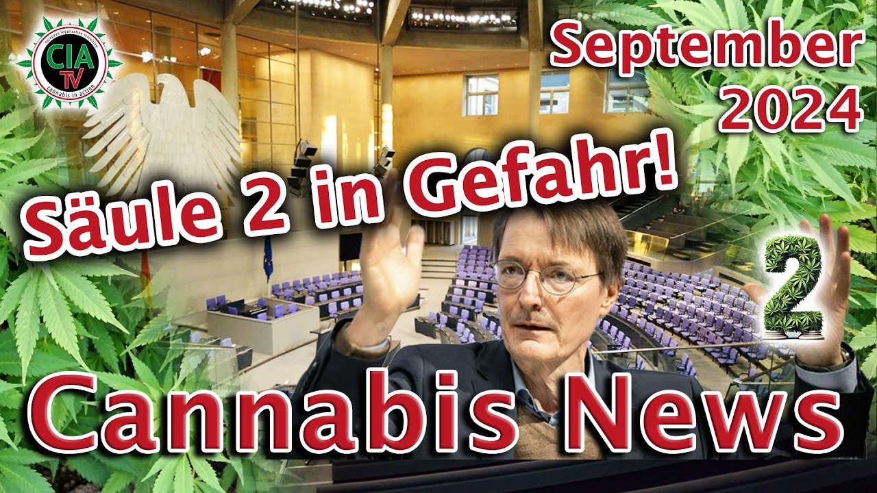 Canna News September 2024 – Deutschland, Österreich, Thailand, Großbritannien, Schottland