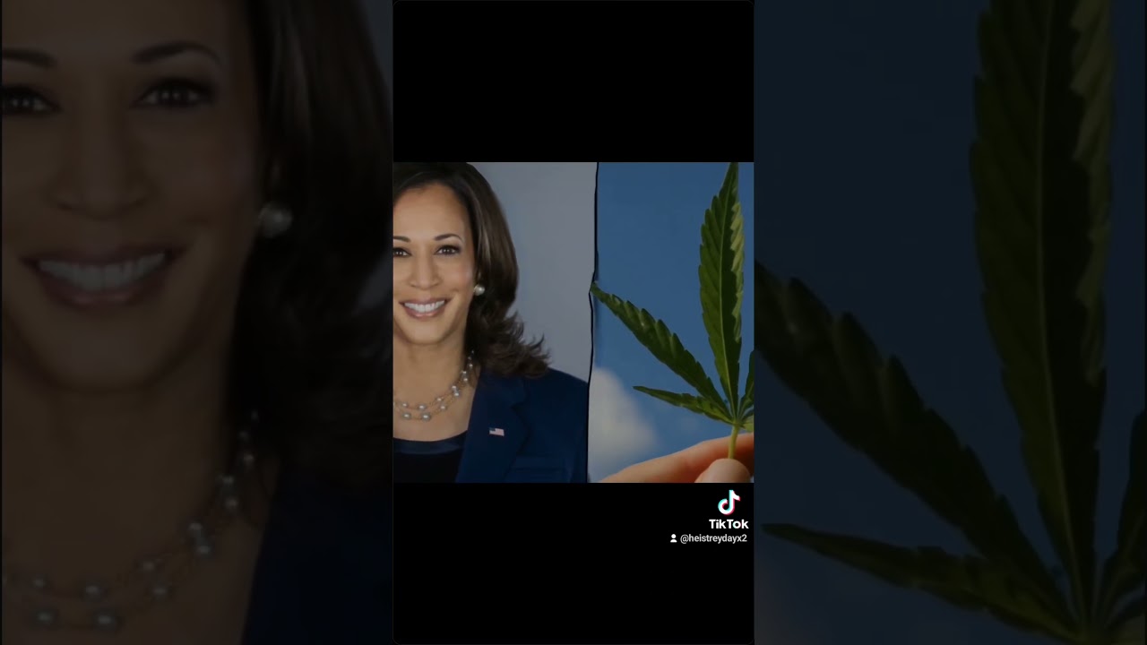 #KamalaHarris Rolls Out #National #Marijuana #cannabisculture #Legalization #Plan #Pledging