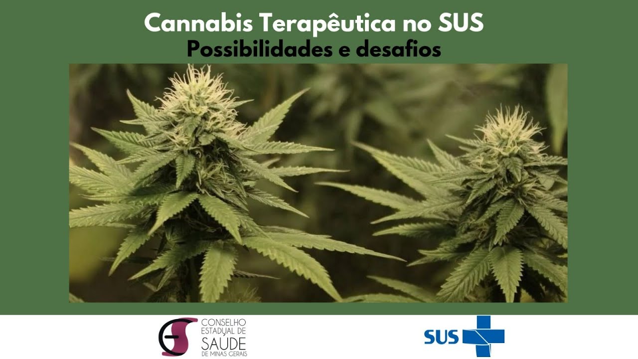 Cannabis Terapêutica no SUS: Possibilidades e Desafios – Plenária Estadual – CES-MG | TV MP