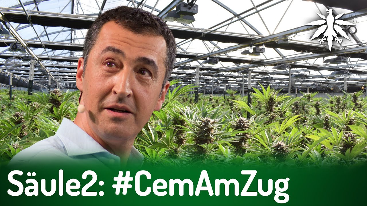 Säule2: #CemAmZug | DHV-News # 439