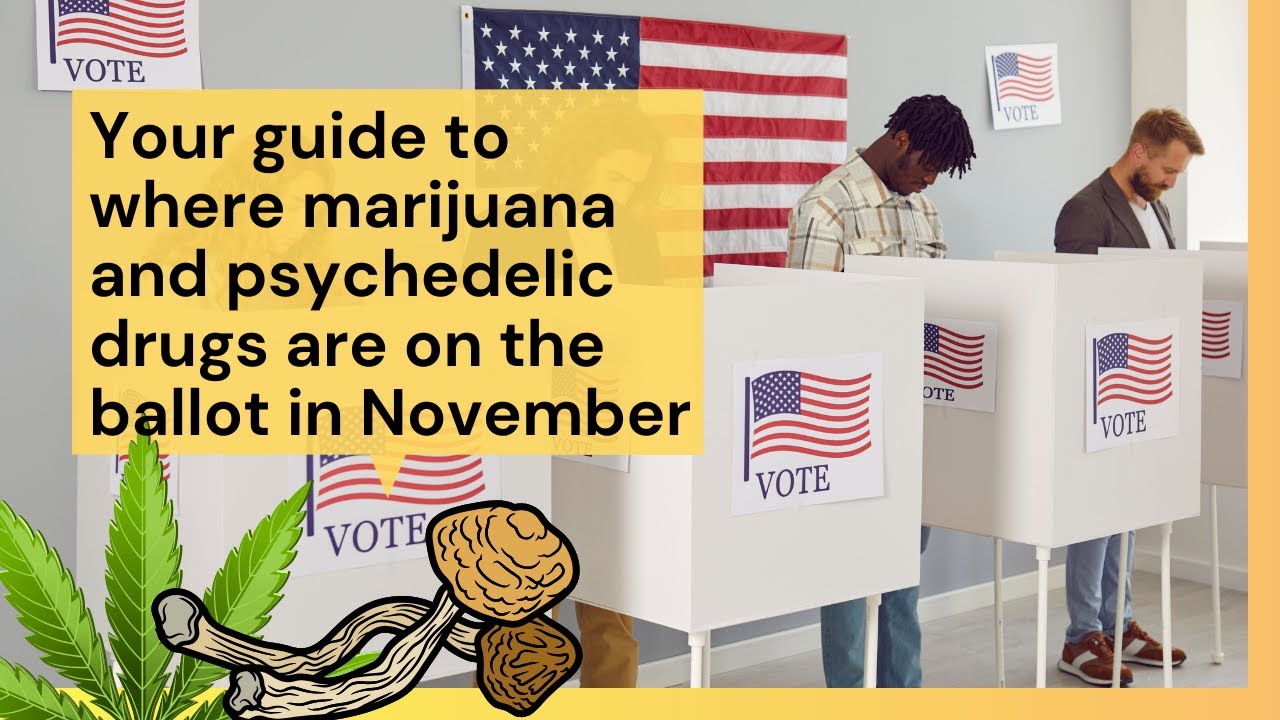 Your guide to where marijuana and psychedelic drugs are on the ballot this November