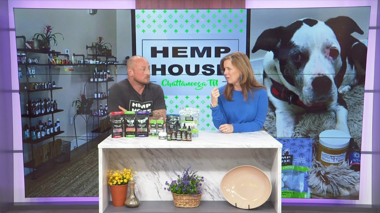 3 Plus Your Life- Hemp House