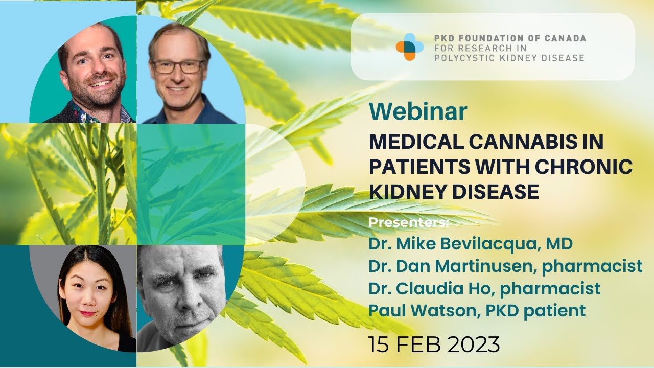 Medical Cannabis in Patients with Chronic Kidney Disease (15/02/23)