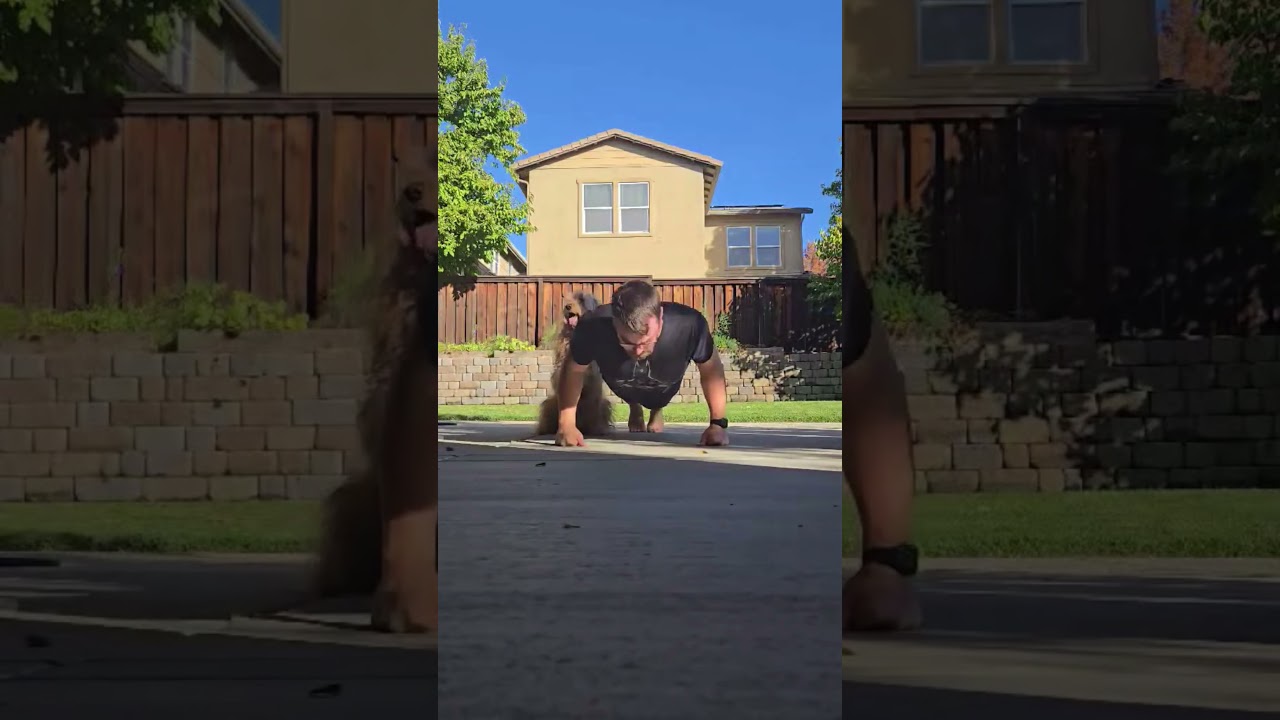 Day 177 – 22 Push Ups  #health #motivation #anxiety  #depression #fitness #funny #goals  #dog #puppy