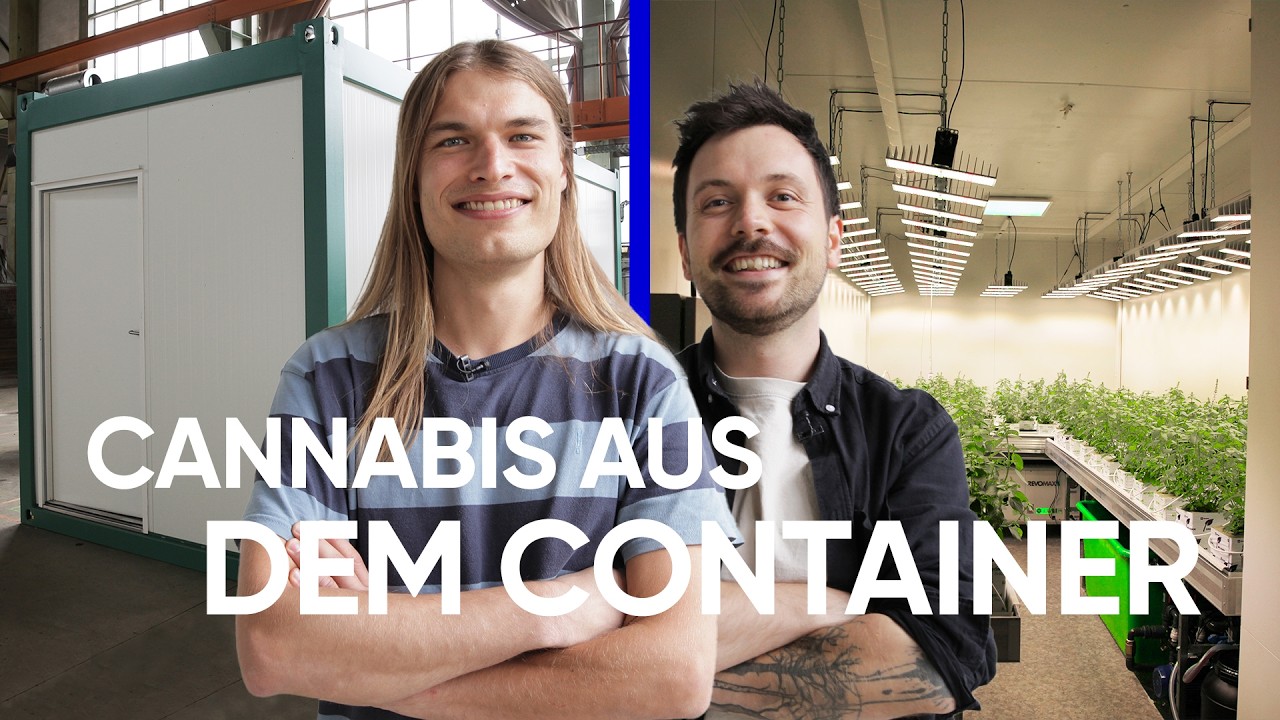 Cannabis anbauen auf 16 Quadratmetern | Einfach Genial