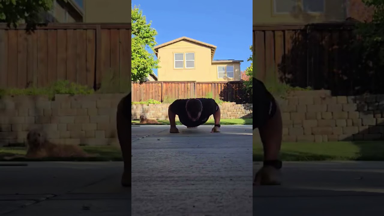 Day 176 – 22 Push Ups  #health #motivation #anxiety  #depression #fitness #funny #goals  #dog #puppy