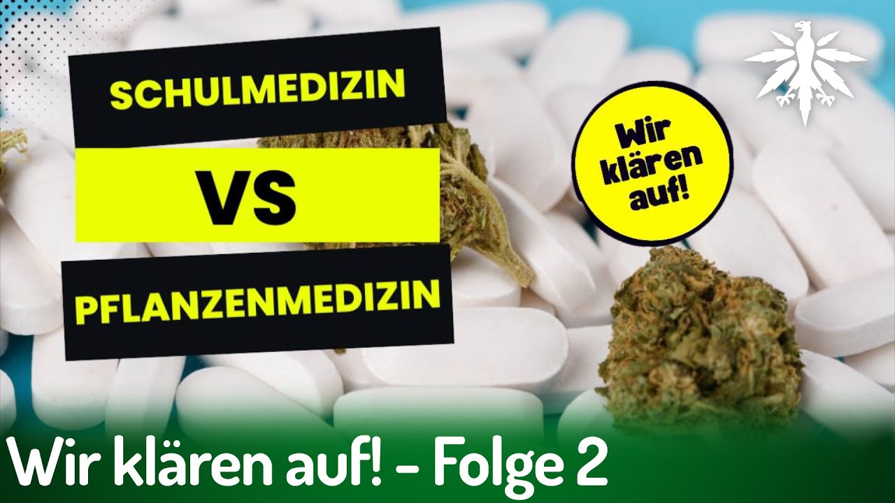 Wir klären auf! – Schulmedizin vs. Pflanzentherapie: Wie Cannabis Leben verändert!