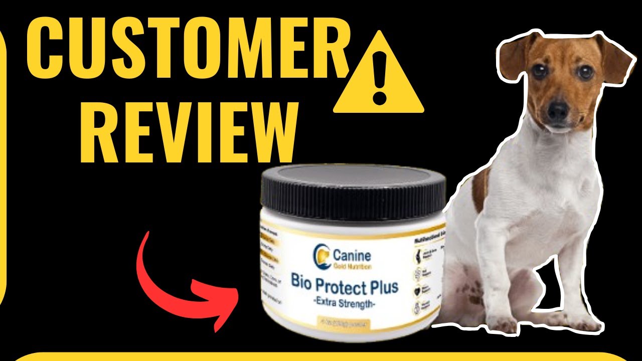 Bio Protect Plus ⚠️- BIO PROTECT PLUS Review -⚠️ Bio Protect Plus Canine  Gold Nutrition Gut Health