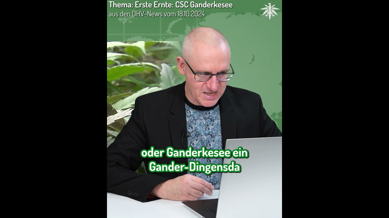 🌱🧑‍🌾 Ernte der ersten legalen Club-Pflanzen in Ganderkesee | Clip aus den DHV-News vom 18.10.2024