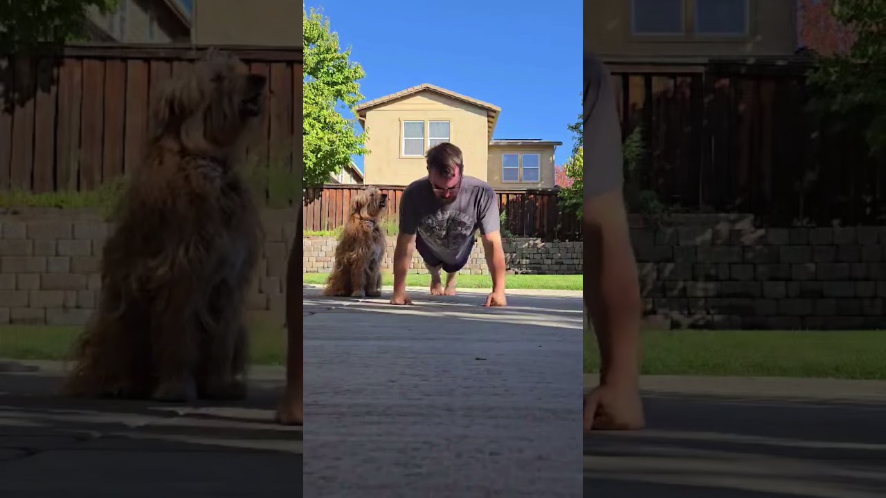 Day 180 – 22 Push Ups  #health #motivation #anxiety  #depression #fitness #funny #goals  #dog #puppy