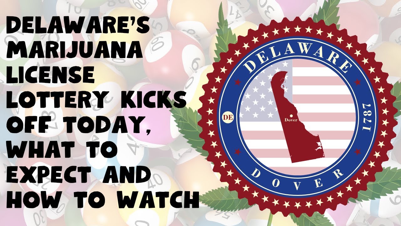 Delaware's marijuana license lottery kicks off today. What to expect and how to watch