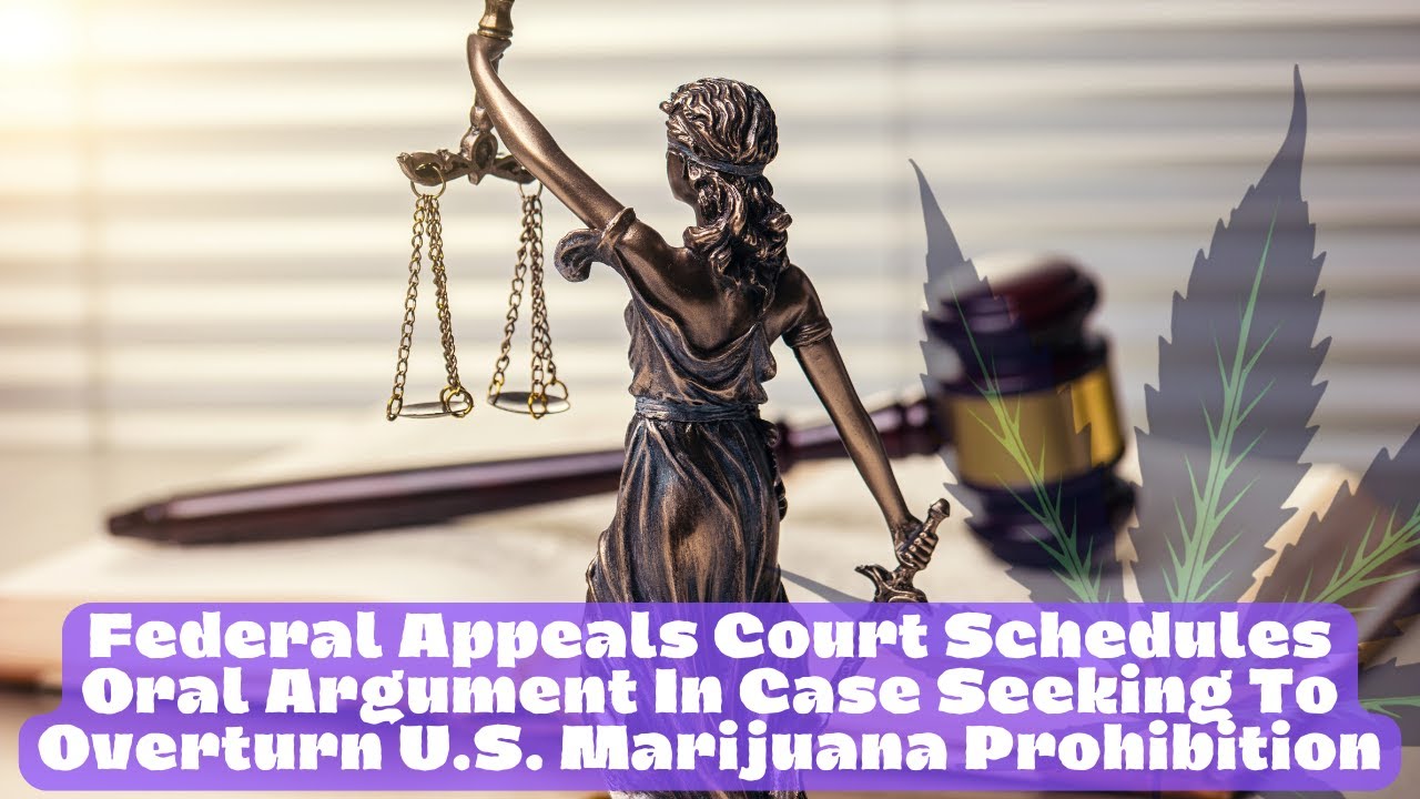 Federal Court Takes On Marijuana Prohibition