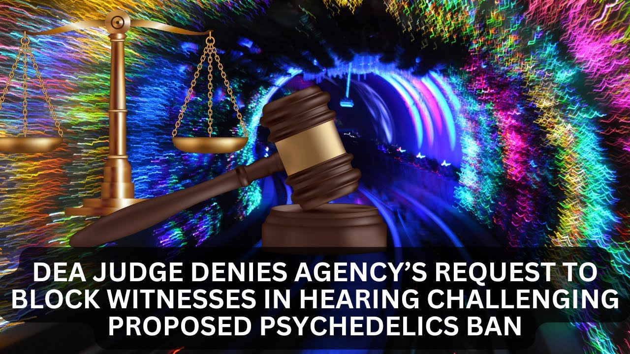 DEA Judge Denies Agency’s Request To Block Witnesses In Hearing Challenging Psychedelics Ban