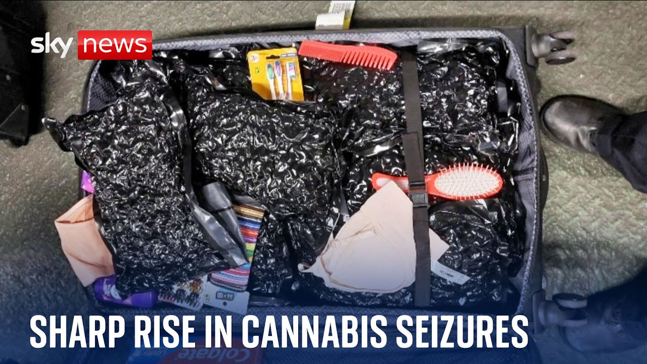 Drastic increase in cannabis seizures at British airports