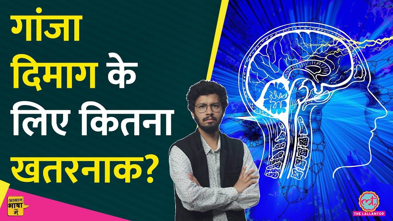 क्या गांजा फूंकने से Bipolar Disorder होता है? | Cannabis | Marijuana | Aasan Bhasha Mein