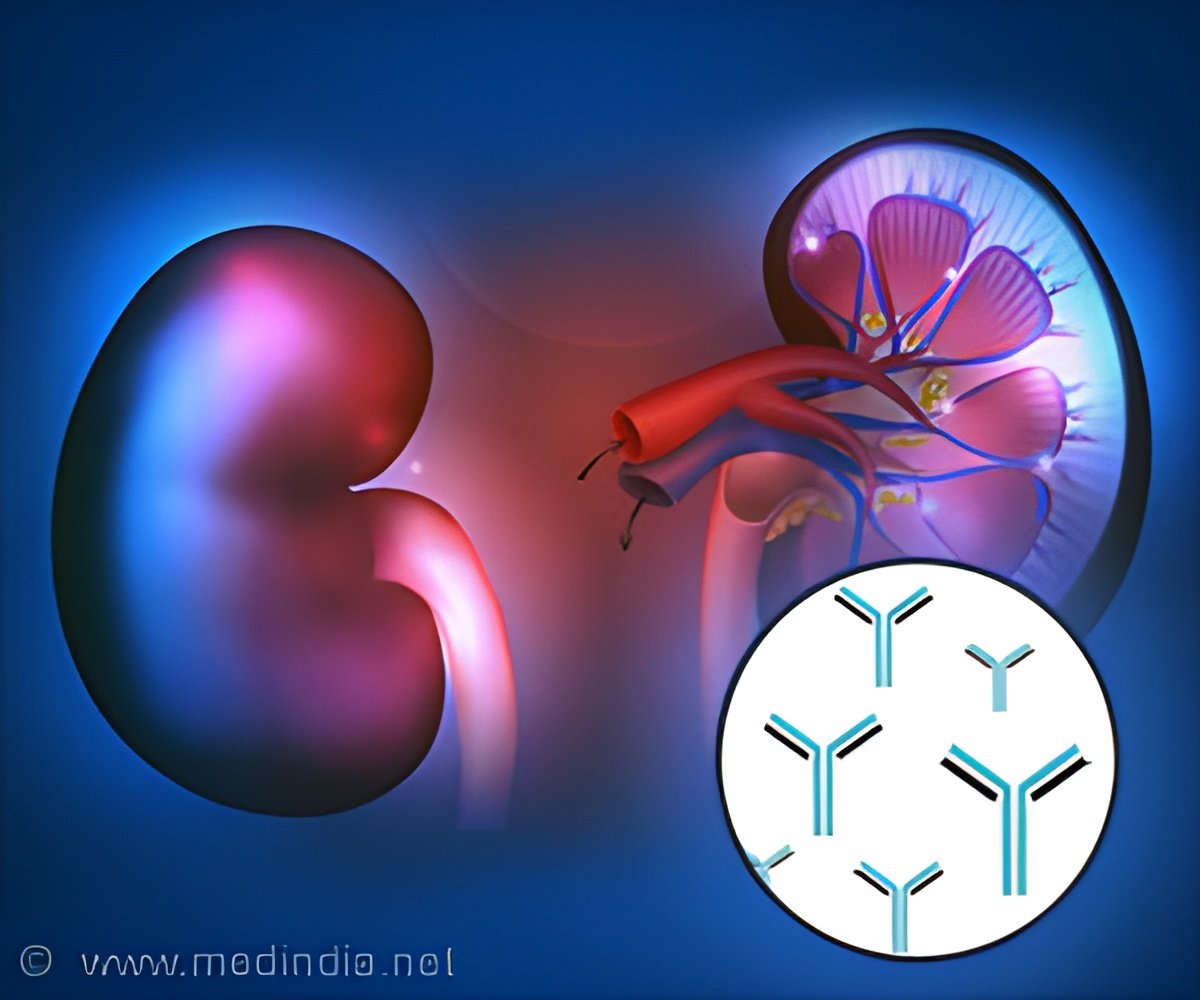 Diabetic Kidney Disease: New Insights Revealed