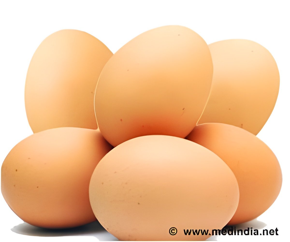 Why One Egg a Day Won’t Raise Your Cholesterol?