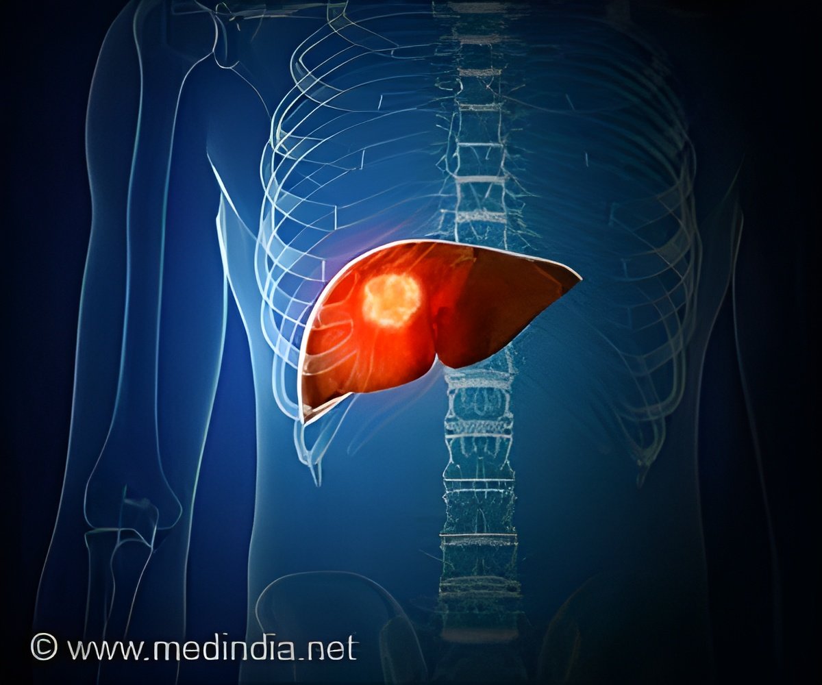 Breakthrough in Liver Function Could Revolutionize Cardiovascular Care